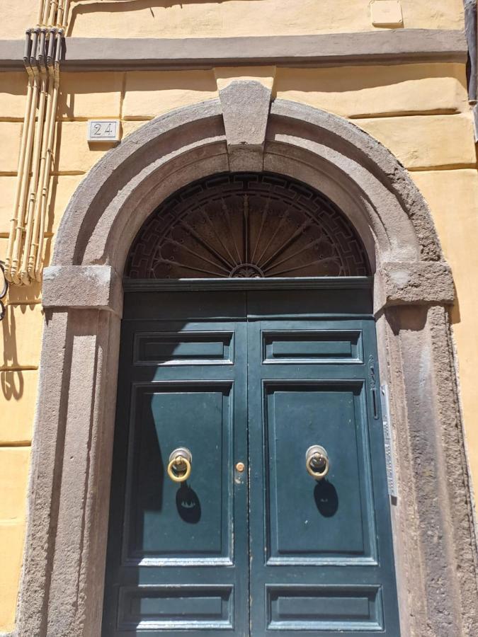 Ag Guest House Витербо Экстерьер фото